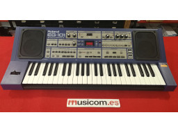 ROLAND EG 101